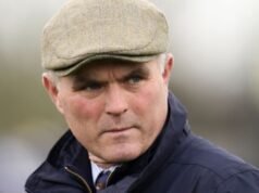 Pemenang Festival Cheltenham bersalah karena menyerang pawang anjing | Ras | olahraga