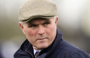 Pemenang Festival Cheltenham bersalah karena menyerang pawang anjing | Ras | olahraga