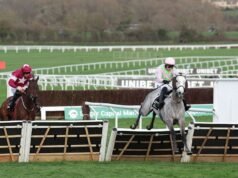 Hasil Festival Cheltenham LANGSUNG: Tip dan peluang Piala Emas saat Willie Mullins mengancam | Ras | olahraga