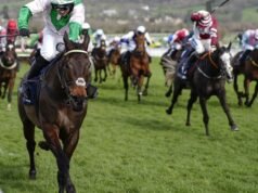 Dua joki Festival Cheltenham dilarang, termasuk seorang pebalap dengan lebih dari 1.000 kemenangan | Ras | olahraga