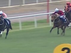 Horor saat kuda pacuan dimasak dan disajikan di dapur umum setelah cedera balap | Ras | olahraga