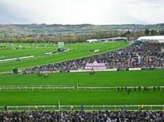 Kuda Cheltenham Saint Le Fort mati saat festival diguncang kematian kedua | Ras | olahraga