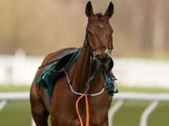 Setiap kuda mati di Festival Cheltenham saat balapan berduka pada Hari Piala Emas | Ras | olahraga