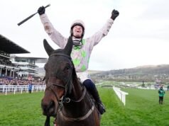 Taruhan Cheltenham memenangkan ‘salah satu taruhan terbesar yang pernah ada’, taruhannya £483.000 | Ras | olahraga