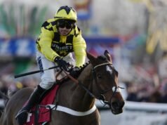 Pelatih Grand National mengumumkan kematian tragis kuda teratas | Ras | olahraga