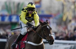 Pelatih Grand National mengumumkan kematian tragis kuda teratas | Ras | olahraga