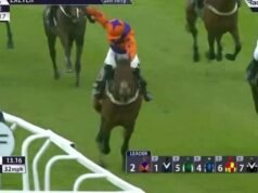 Joki dilarang setelah memukul kuda yang didiskualifikasi melebihi batas | Ras | olahraga