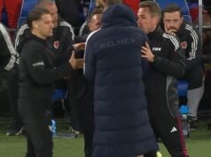 Craig Bellamy dan Edin Dzeko bentrok di pinggir lapangan saat babak playoff Piala Dunia berakhir dengan kekacauan | Sepak Bola | olahraga