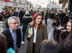 Bisakah para aktivis lingkungan tetap memanfaatkan ‘gelombang hijau’?