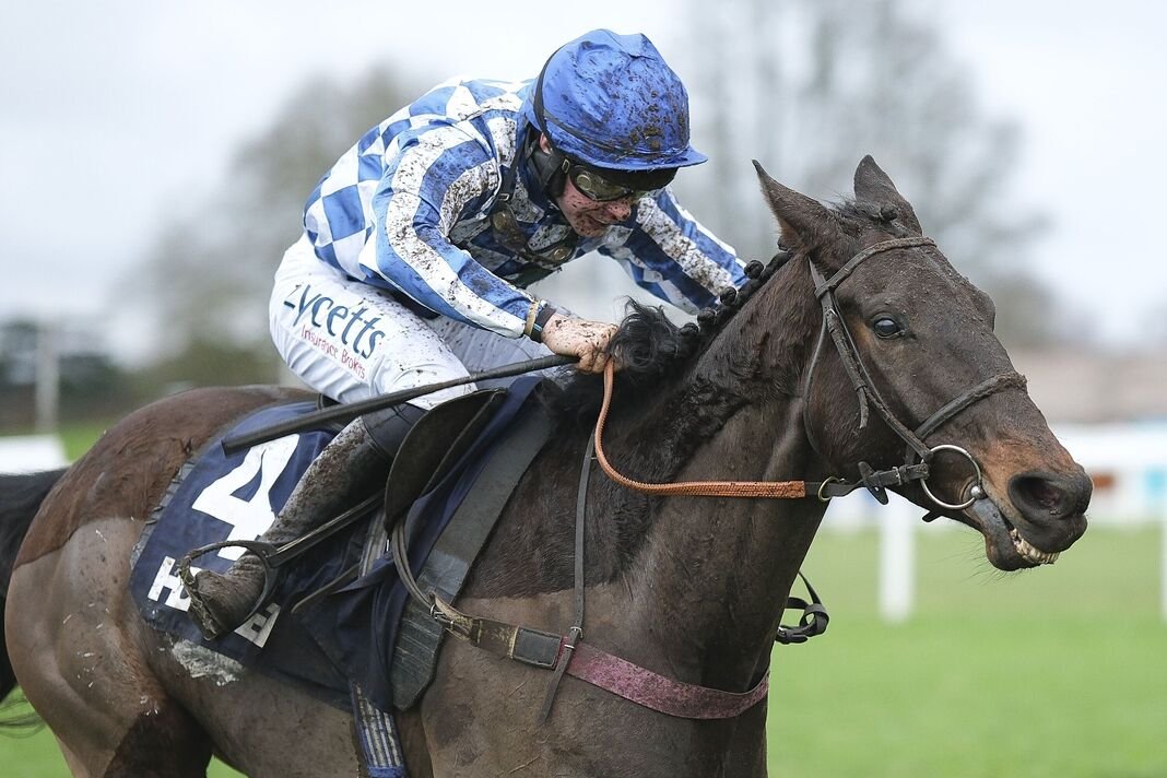 Deutsch mengendarai Martator (tidak digambarkan) menuju kemenangan dalam Grand Annual Chase Deutsch mengendarai Martator (tidak digambarkan) menuju kemenangan dalam Grand Annual Chase