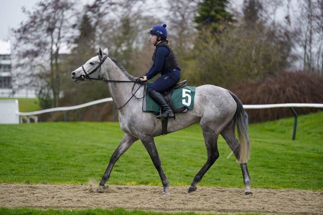 Pratinjau Festival Cheltenham