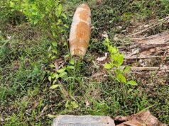 Kolombia menuduh Ekuador mengebom wilayahnya; penolakan dari Quito, yang merupakan penghinaan penuh terhadap perdagangan narkoba