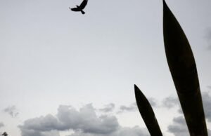 HIDUP. Perang di Timur Tengah: Rusia bersuara membela kepentingan Iran