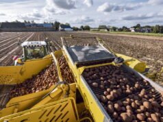 Orang Perancis ‘terlalu banyak terpapar’ kadmium dalam makanan mereka, ANSES memperingatkan