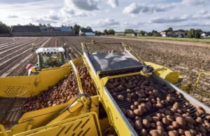 Orang Perancis ‘terlalu banyak terpapar’ kadmium dalam makanan mereka, ANSES memperingatkan