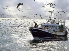 Kenaikan harga bahan bakar berdampak pada perawat, petani, nelayan… Mengapa pemerintah tetap tuli terhadap permintaan bantuan