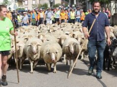 Hobi. Apa yang harus dilakukan akhir pekan ini di Lorraine? Pilihan kami untuk ide jalan-jalan