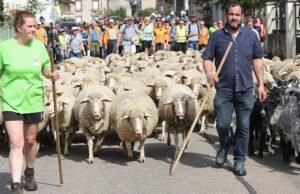 Hobi. Apa yang harus dilakukan akhir pekan ini di Lorraine? Pilihan kami untuk ide jalan-jalan