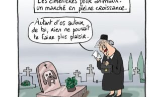 Tayangan slide. Kesedihan hewan, perang empat tahun di Ukraina, daya beli, rekor keuntungan SNCF: desainer Laurent Salles menguraikan berita minggu ini