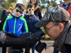 Strasbourg. Bangau, burung jay, burung gagak… di Parc de l’Orangerie, burung-burung mempunyai sesuatu untuk dikatakan