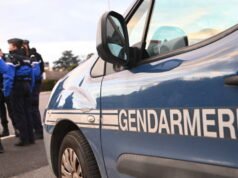 seorang pelari terluka parah oleh dua anjing liar