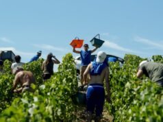 hukuman penjara dikuatkan pada tingkat banding untuk perdagangan manusia