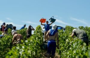 hukuman penjara dikuatkan pada tingkat banding untuk perdagangan manusia