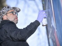 Vosges. Di Épinal, neo-kubisme seniman PRO176, yang terinspirasi oleh Picasso dan Marvel, memberi warna pada dinding #48