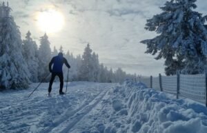 Bidang api. Saatnya untuk mengambil kesimpulan: musim yang tampaknya bercampur di wilayah Alpen dan Skandinavia