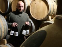 juga. Cakrawala baru “Vin de France”