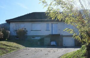 Vosges. Hilangnya Liliane Coinchelin selama tiga tahun: sebuah kasus yang menyoroti kekurangan sistem