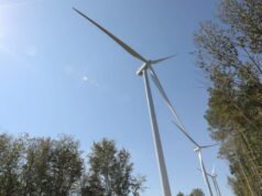 untuk melestarikan burung pemangsa dan kelelawar, ia menjadi pelapor