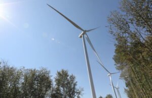 untuk melestarikan burung pemangsa dan kelelawar, ia menjadi pelapor