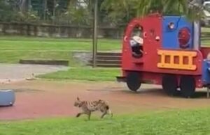 menuntut hukuman percobaan empat bulan bagi tersangka