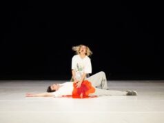 Poliester dari Nans Laborde-Jourdàa