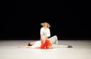 Poliester dari Nans Laborde-Jourdàa