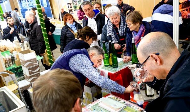 Semua peserta pameran di pameran Aux Vignes adalah petani anggur kecil, dengan rata-rata lahan pertanian seluas 20 hektar. Ilustrasi foto Karim Siari