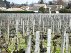 Pemilihan kota tahun 2026: di Gironde kelompok kiri melakukan mobilisasi melawan pestisida