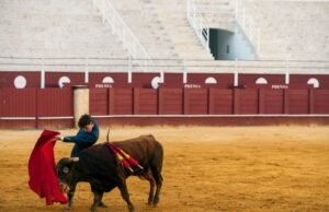 Spanyol. Mantan matador meninggal karena tertanduk saat mempersiapkan adu banteng Paskah