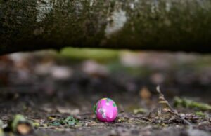 Jerman. Remaja, ibu dan bayi tewas tertimpa pohon saat berburu telur Paskah