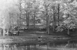 siapakah Elio D., saksi penting yang ditemukan tewas di rumahnya?