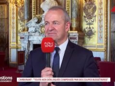 “Parlemen harus dilibatkan dalam pemilihan pemerintahan,” tuntut pelapor umum Senat