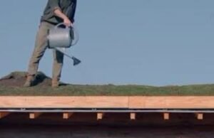 Rakyat. “Aku akhirnya sampai”: penyanyi Vianney telah menyelesaikan gubuknya dan akan mengunci diri di dalamnya selama sebulan