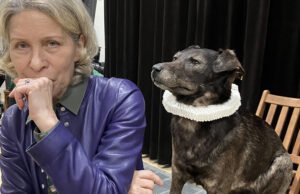 “Kekejaman pembatalan pameran musim panas di Palais des Papes merupakan bentuk sikap acuh tak acuh terhadap para seniman”