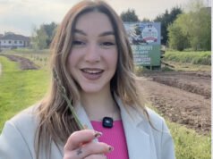 Mengapa Hoerdt disebut ibu kota asparagus?