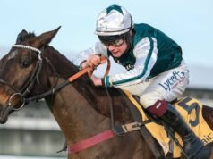 Kuda Grand National dilarikan ke rumah sakit saat pemiliknya yang patah hati angkat bicara | Ras | olahraga