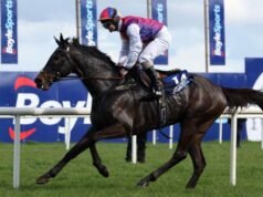 Pelari dan pebalap Grand National Irlandia yang dikonfirmasi plus tip untuk Fairyhouse | Ras | olahraga