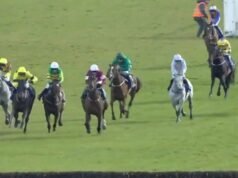 Grand National Irlandia 1-2-3-4-5 dan hasil penuh saat Soldier In Milan menang | Ras | olahraga
