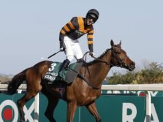 Apa Arti Nama Nasional Besar? Tidak sebanyak yang Anda pikirkan | Ras | olahraga