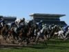 Grand National 1-2-3-4-5 dan 50/1 EW outsider oleh pakar ITV Racing | Ras | olahraga
